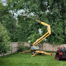 Best Tree Risk Assessment  in Orangetree, FL